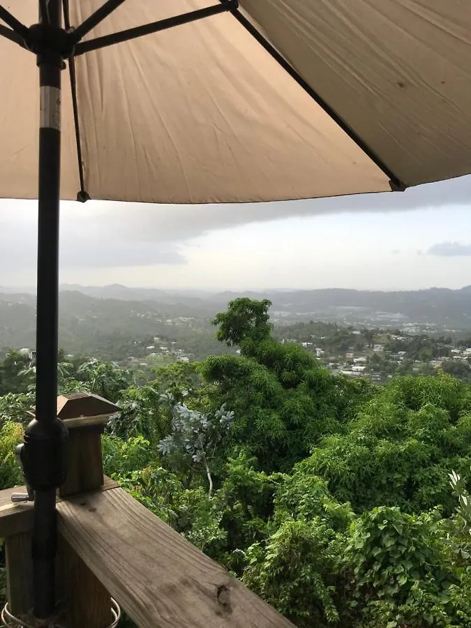 Campsite Camping Para Dos - A Escoger Segun Disponibilidad De Caseta O Cabana Caguas