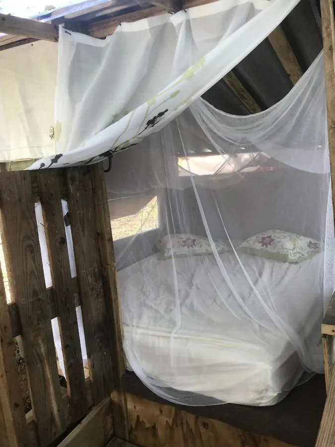 Camping Para Dos - A Escoger Segun Disponibilidad De Caseta O Cabana Caguas