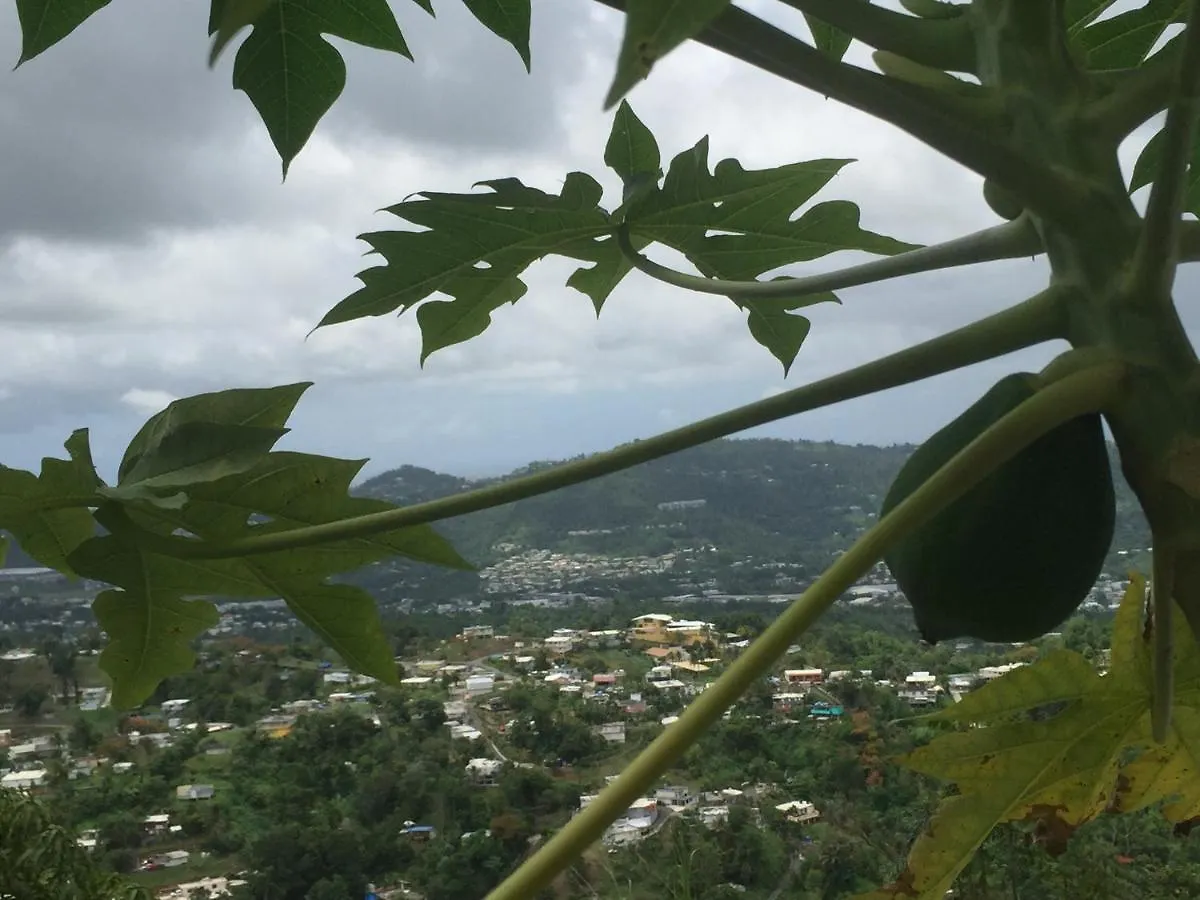 Parque de Campismo Camping Para Dos - A Escoger Segun Disponibilidad De Caseta O Cabana Caguas