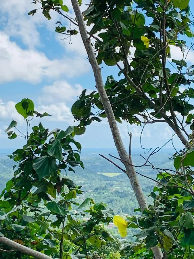 Camping Para Dos - A Escoger Segun Disponibilidad De Caseta O Cabana Caguas 0*,