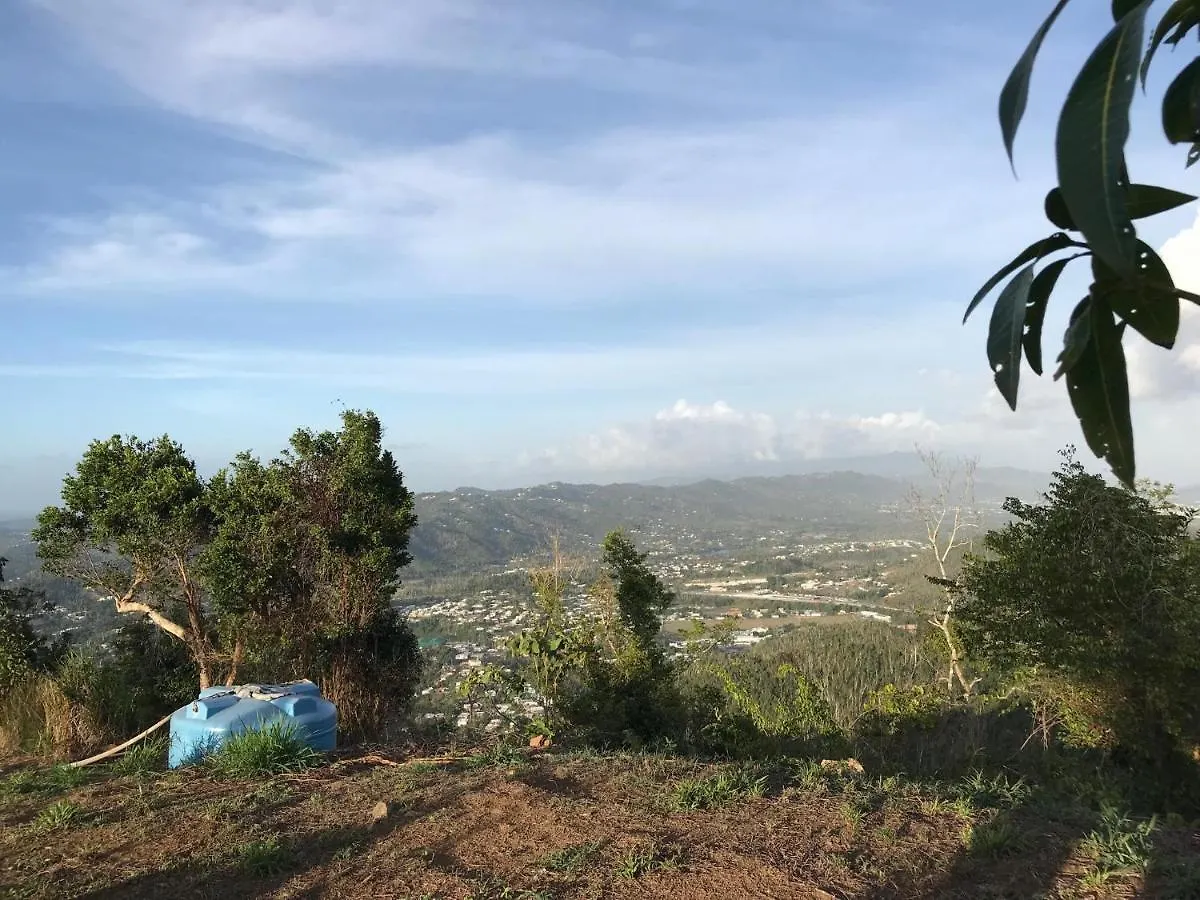 Camping Para Dos - A Escoger Segun Disponibilidad De Caseta O Cabana Caguas 0*,
