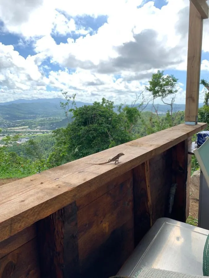Campsite Camping Para Dos - A Escoger Segun Disponibilidad De Caseta O Cabana Caguas