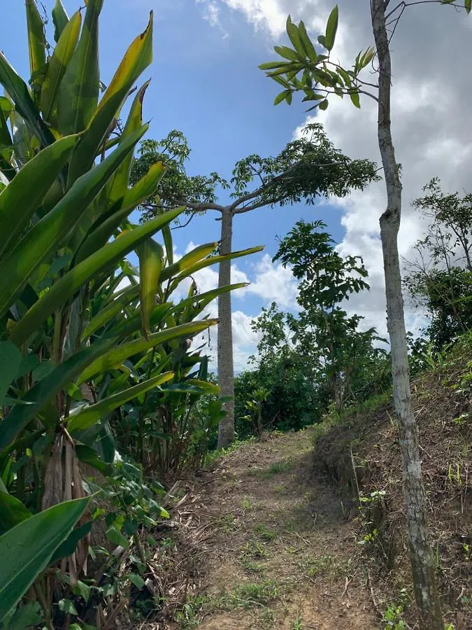 Camping Para Dos - A Escoger Segun Disponibilidad De Caseta O Cabana Caguas