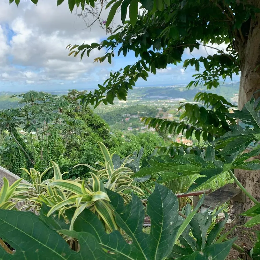 Camping Para Dos - A Escoger Segun Disponibilidad De Caseta O Cabana Caguas