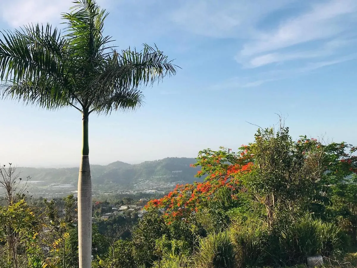 Campsite Camping Para Dos - A Escoger Segun Disponibilidad De Caseta O Cabana Caguas