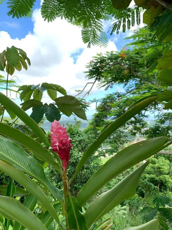 Camping Para Dos - A Escoger Segun Disponibilidad De Caseta O Cabana Caguas 0*,  Puerto Rico