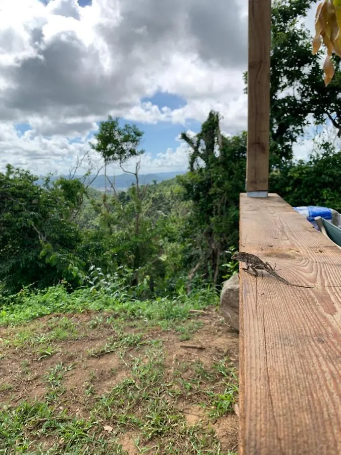 Campsite Camping Para Dos - A Escoger Segun Disponibilidad De Caseta O Cabana Caguas Puerto Rico