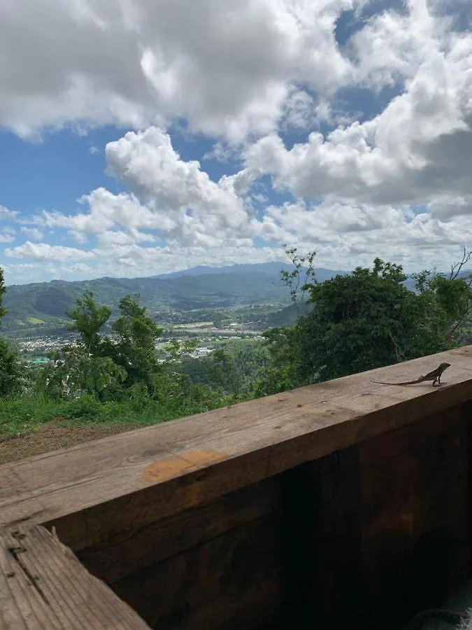 Campsite Camping Para Dos - A Escoger Segun Disponibilidad De Caseta O Cabana Caguas