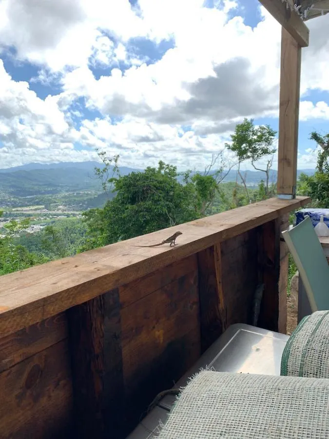 Camping Para Dos - A Escoger Segun Disponibilidad De Caseta O Cabana Caguas 0*,