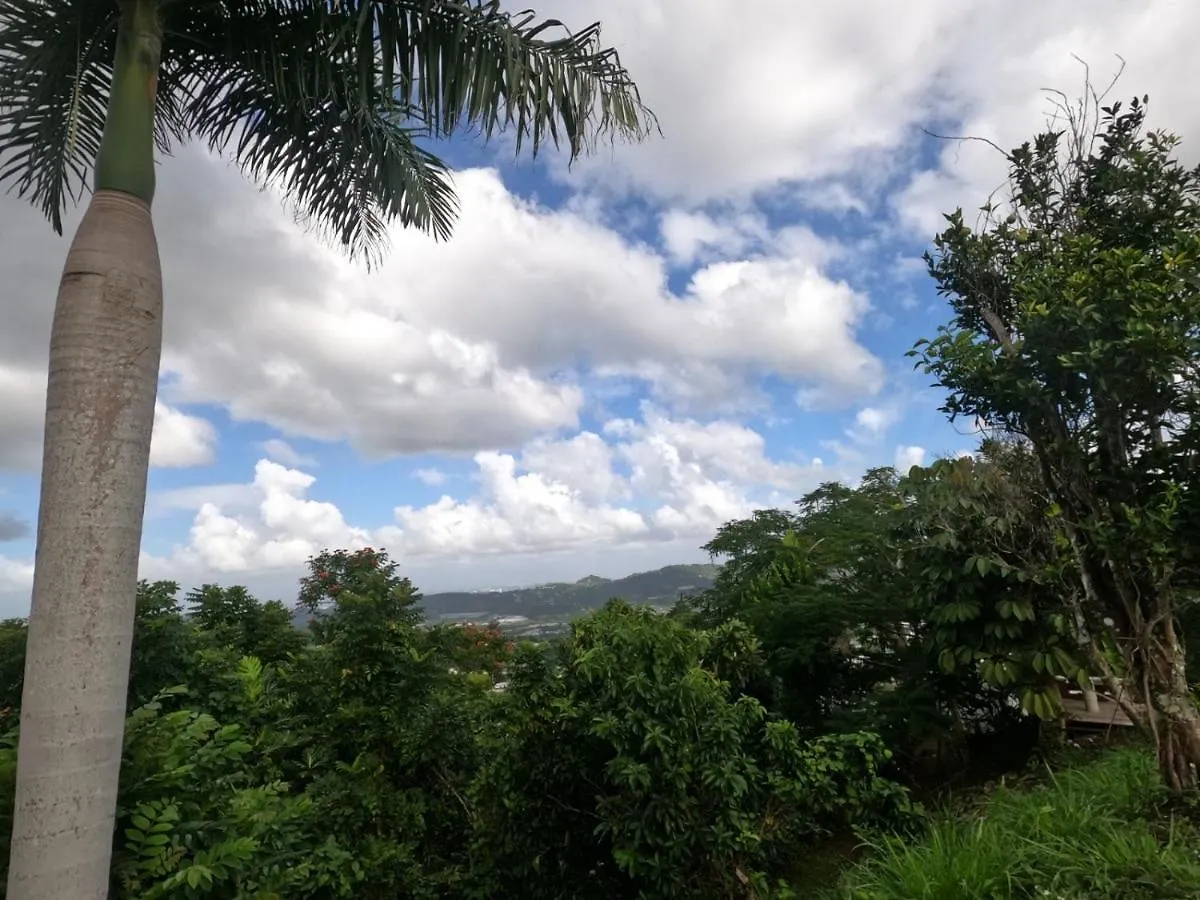 Camping Para Dos - A Escoger Segun Disponibilidad De Caseta O Cabana Caguas Puerto Rico